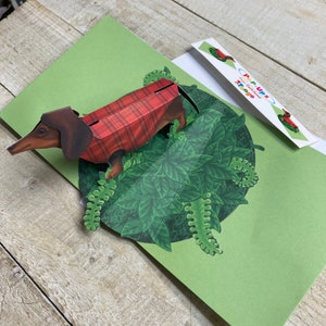Carte pop-up CHIEN SAUCISSE ou chien carlin - design TTT1440 par 2ToTango