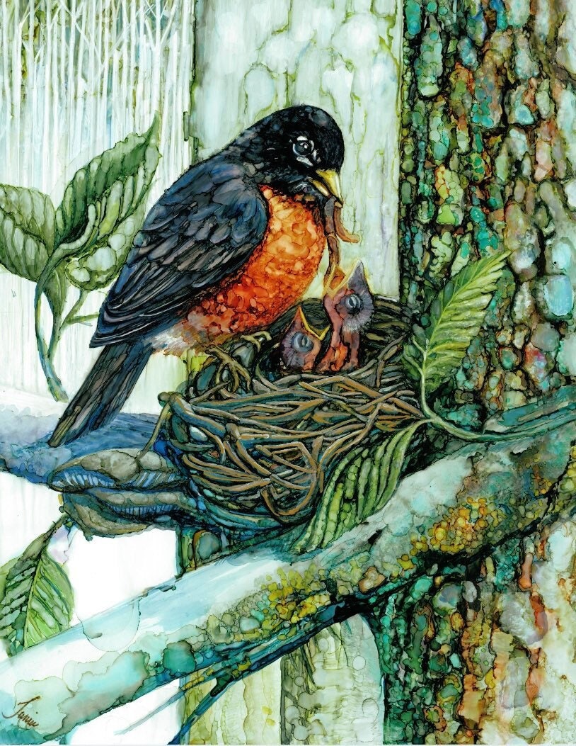 Robin Redbreast - use Discount code 33PERCENTOFF with purchase of 3 or more Robin Redbreast - use Discount code 33PERCENTOFF with purchase of 3 or more