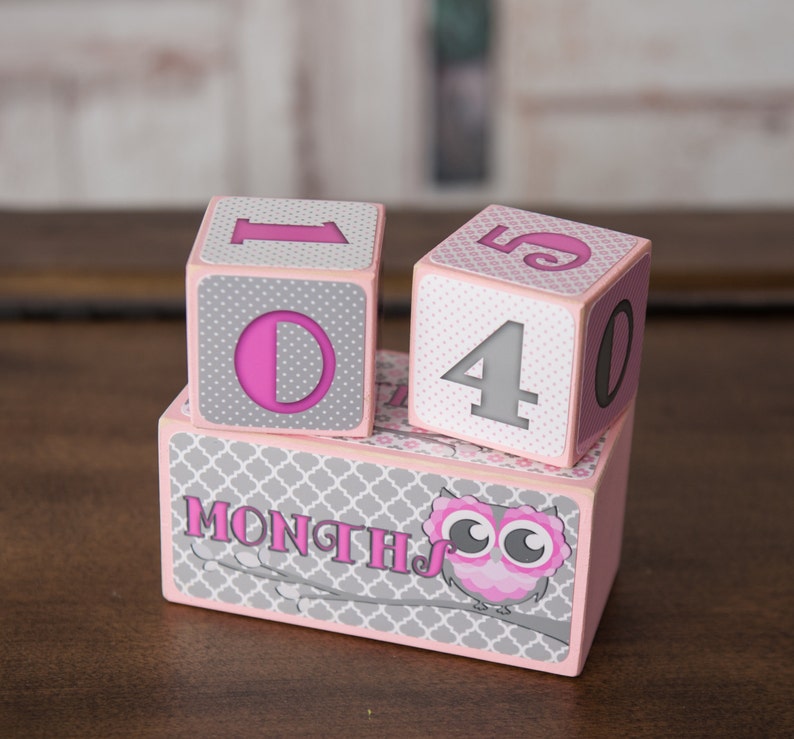 Age Blocks Baby Age Blocks Baby Age Prop Baby Shower Etsy