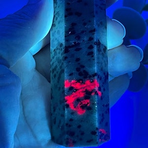 May include: A dark green and black crystal point with a red, speckled, heart-shaped inclusion. The crystal is illuminated with a blue light.