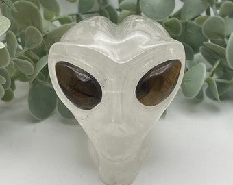 Clear Quartz Alien Skull // Head // Healing// Natural // Video // Halloween // Ships Free