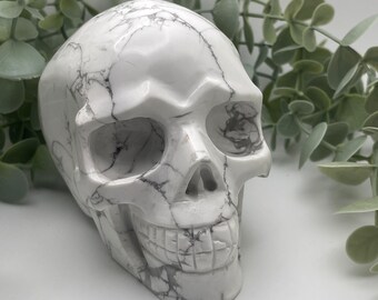 Howlite Skull Crystal Large // Head // Healing// Natural // Video // Halloween // Ships Free