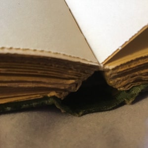 Op de afbeelding: Close-up van de rug van een vintage boek met verouderde, vergeelde pagina's. Het boek is gebonden in groene stof en heeft een versleten, geliefd uiterlijk.