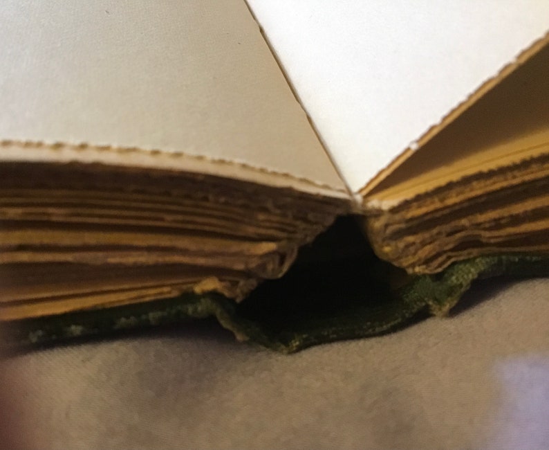 Op de afbeelding: Close-up van de rug van een vintage boek met verouderde, vergeelde pagina's. Het boek is gebonden in groene stof en heeft een versleten, geliefd uiterlijk.