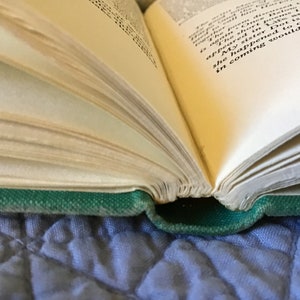 Puede incluir: Primer plano de un libro abierto con cubiertas de tela verde. Las p&aacute;ginas est&aacute;n amarillentas por el paso del tiempo y el texto es visible.