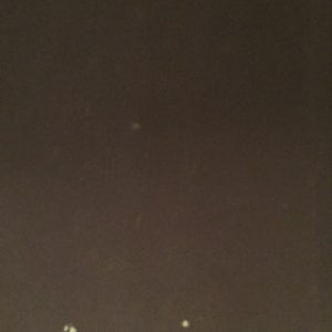 May include: A close-up of a dark brown textured surface with several small white spots.