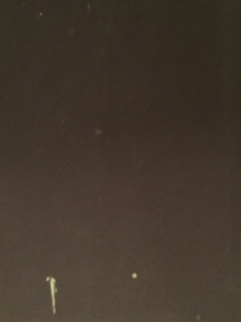 May include: A close-up of a dark brown textured surface with several small white spots.