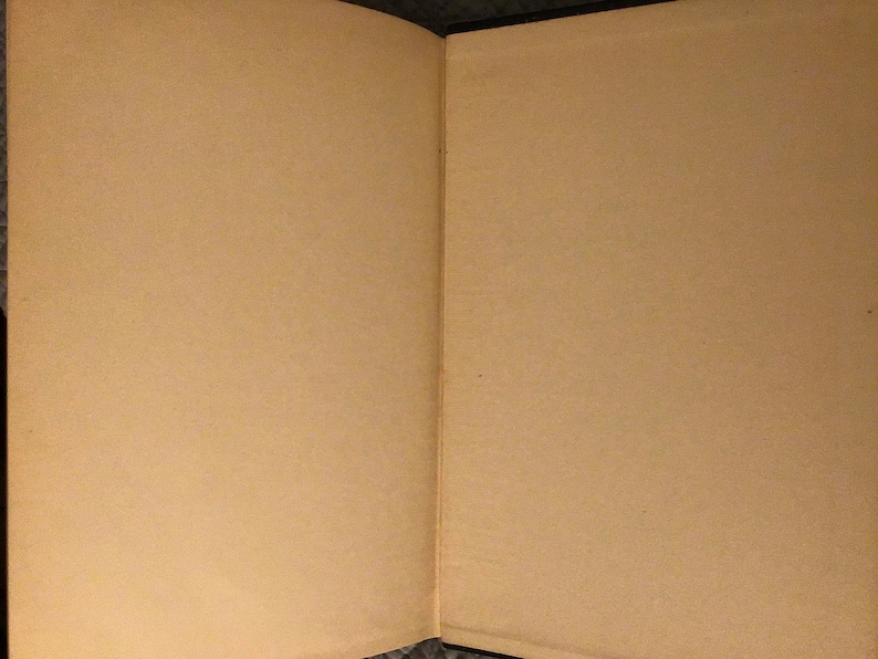 May include: An open book with blank pages. The pages are a light beige colour and the book is bound in a dark brown material.