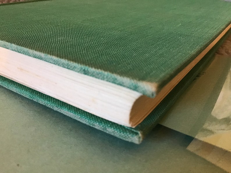 Puede incluir: Primer plano del lomo de un libro de tapa dura verde. El libro est&aacute; cerrado y el lomo es visible. El libro est&aacute; encima de otro libro.