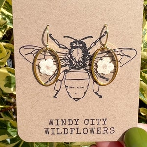 Forget Me Not Earrings Real Flower Jewelry Pressed Flower Earrings Dried Flower earrings White Flower Earrings Simple Gold Earrings