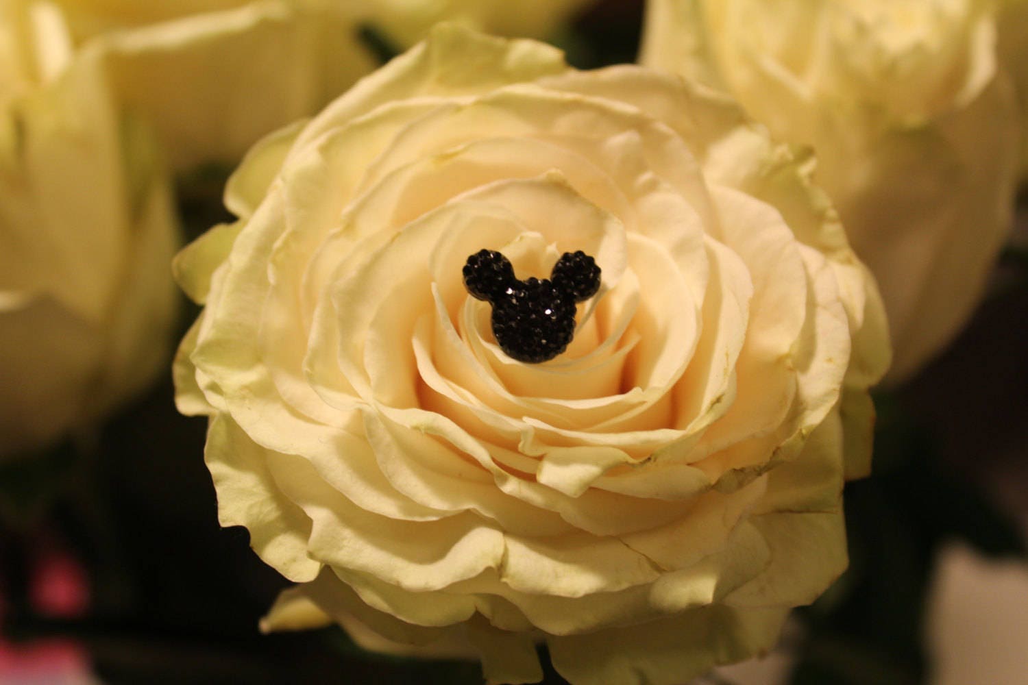 6 Black Hidden Mickeys for Bouquets-disney Inspired Wedding Flower