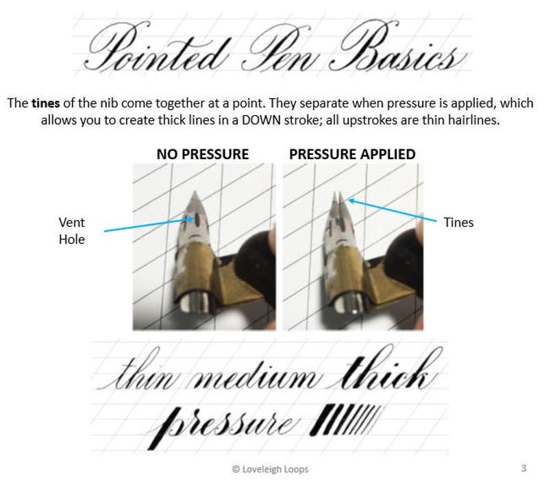 May include: A diagram showing how a pointed pen nib works. The nib is shown with no pressure applied and with pressure applied. The text "No Pressure" and "Pressure Applied" is shown above the nibs. The text "Vent Hole" and "Tines" is shown next to the nibs. The text "thin medium thick pressure" is shown below the nibs.