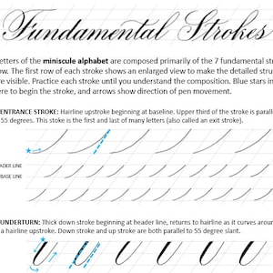 May include: A diagram showing the seven fundamental strokes used in the miniscule alphabet. The diagram includes a blue star to indicate where to begin each stroke and arrows to show the direction of pen movement. The text "Entrance Stroke" and "Underturn" are included in the diagram.