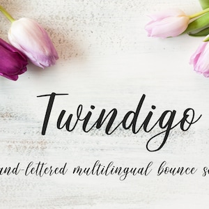 May include: A hand-lettered font called "Twindigo" with the description "A hand-lettered multilingual bounce script" displayed below the font name. The image features pink and purple tulips on a white wooden background.
