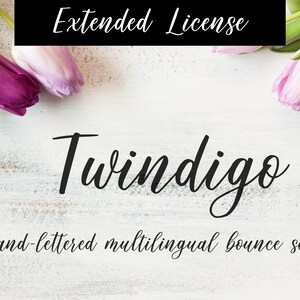 May include: A white wooden background with pink tulips on either side of the text "Twindigo" in black cursive font. The text below reads "A hand-lettered multilingual bounce script".