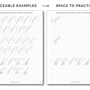 The Calligraphy Flourishing Fundamentals Workbook PDF Calligraphy Flourishes Worksheets image 7