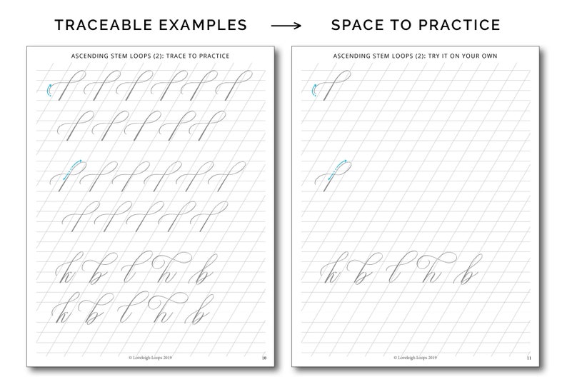 The Calligraphy Flourishing Fundamentals Workbook PDF Calligraphy Flourishes Worksheets image 7