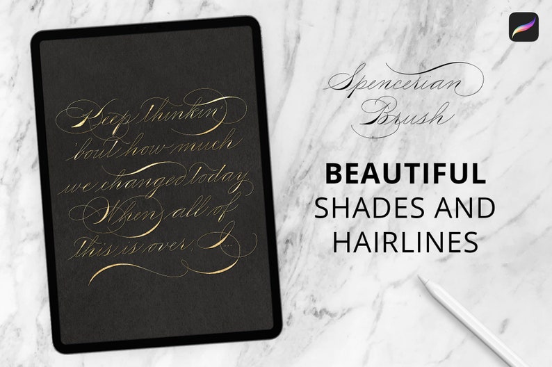 Pointed Pen Spencerian Procreate Brush and Guide Sheet Etsy
