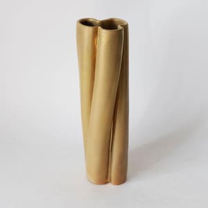 Può includere: Un vaso in ceramica dorata con un design unico intrecciato. Il vaso è alto e sottile, con una finitura liscia e lucida.