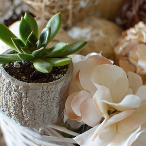 Tree Trunk Cement pot - great for plants or candles!