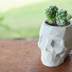 Geometric Skull Cement Pot - great for plants or candles!