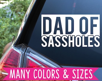 Dad of Sas*holes Funny Kids Car Truck Van Vinyl Decal Sticker