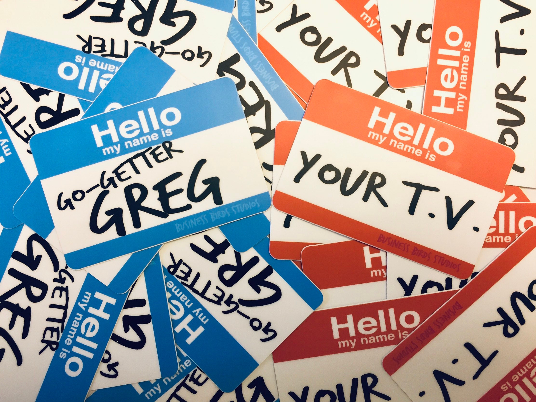 LUDO Rock Band Go-getter Greg / Hello, My Name is Your TV Vinyl Stickers,  Stickers, Music Stickers, Ludo Stickers, Ludo Band, Ludo Rock 