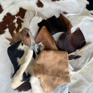 May include: A collection of cowhide leather pieces in various colors and patterns. The pieces include shades of brown, black, and white, with some featuring spots and patches. The hides are arranged on a larger cowhide rug.
