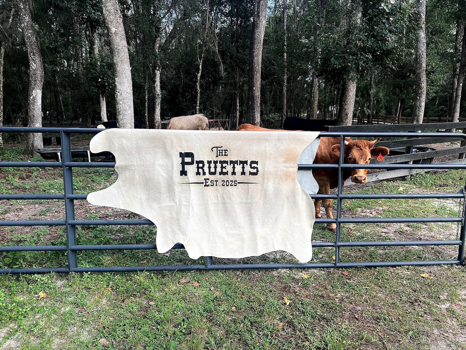 Branded Cattle Rug Engraved Cowhide Rug: Personalized Wedding Decor, Branded Logo, Branded ...