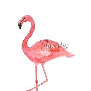 Watercolor Flamingo Clip Art image 3