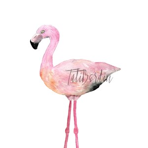 Watercolor Flamingo Clip Art image 2