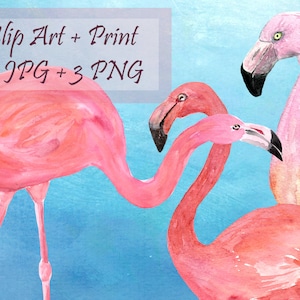Watercolor Flamingo Clip Art image 1