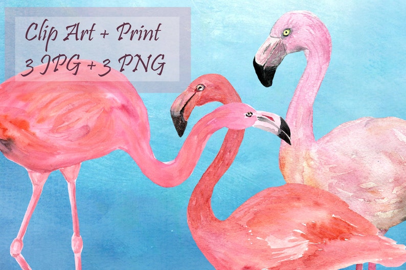 Watercolor Flamingo Clip Art image 1