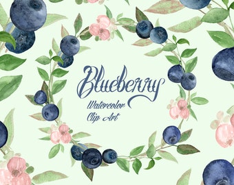 Watercolor Blueberry Clip Art