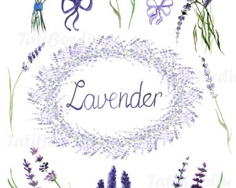 Lavender Watercolor Clip Art