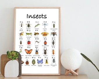 Watercolor Insects ABC Posters