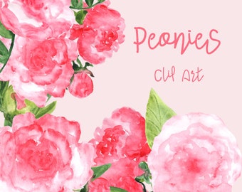 Watercolor Peonies Clip Art