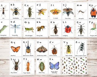 A-Z Insect Alphabet Poster 8x10 Digital Download INSTANT DOWNLOAD