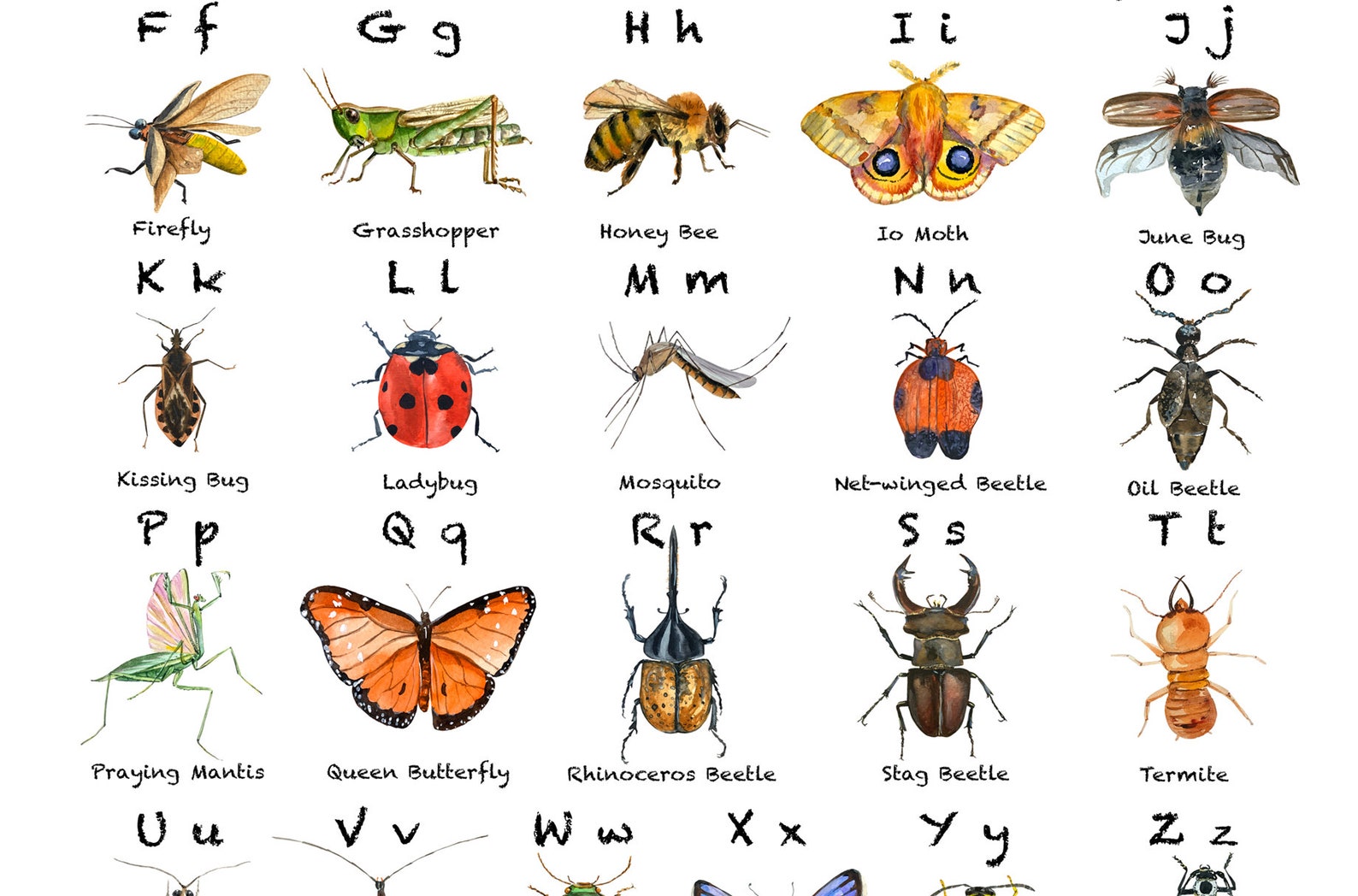 Watercolor Insects ABC Posters - Etsy