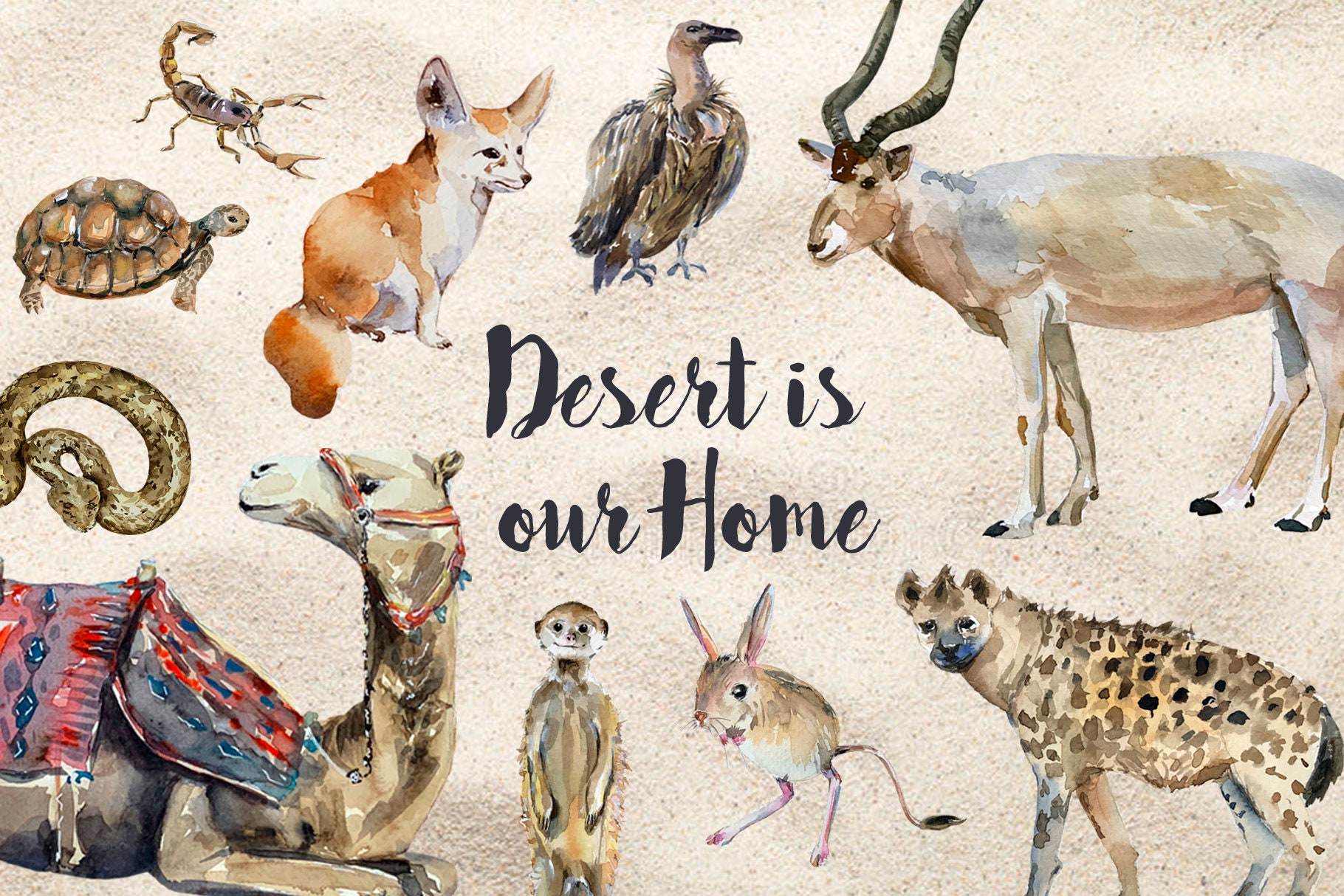 Desert Animals Watercolor Clip Art and Poster - Etsy Desert Animals Watercolor Clip Art and Poster - Etsy