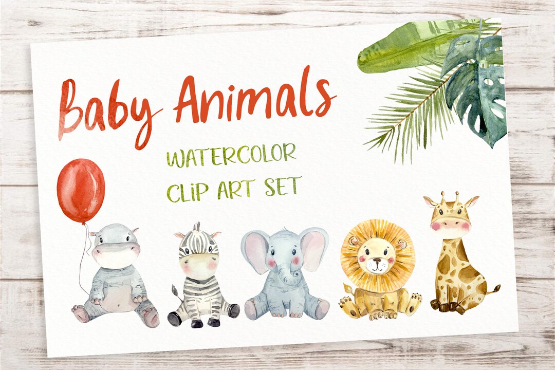 Baby Animals Watercolor Clip Art Set - Etsy