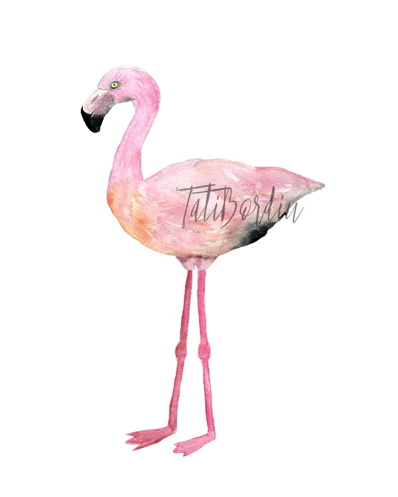 Watercolor Flamingo Clip Art image 2