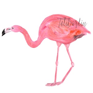 Watercolor Flamingo Clip Art image 4