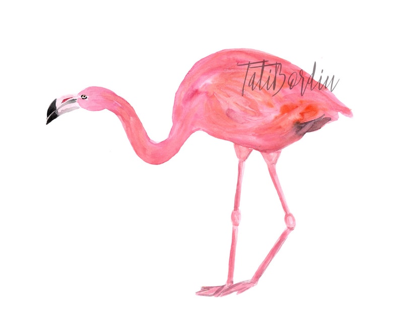 Watercolor Flamingo Clip Art image 4