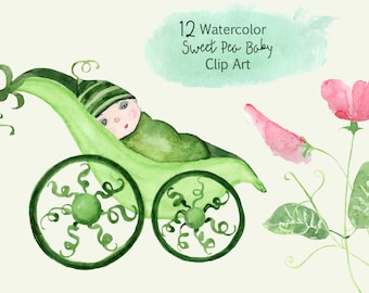 12 Watercolor Sweet Pea Baby Clip Art