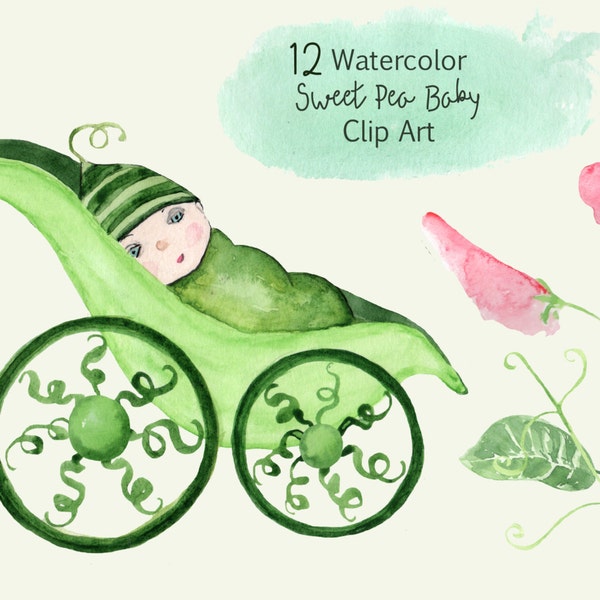 12 Watercolor Sweet Pea Baby Clip Art