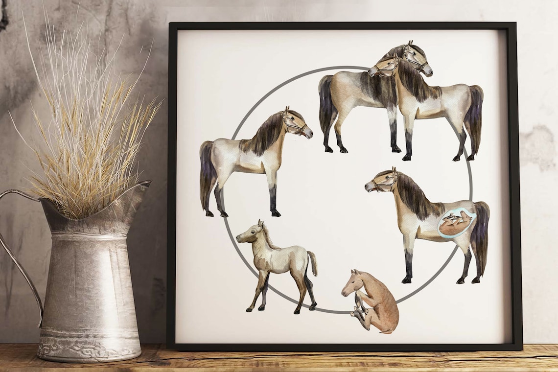 Horse Life Cycle Clip Arts and Print Etsy