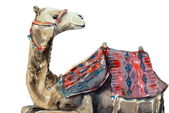 Discover 156+ desert animals drawings best
