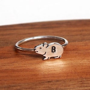 May include: Silver ring with a guinea pig design and the letter "B" engraved on the side.