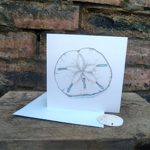 CONCHA DE DÓLAR DE ARENA - Tarjeta de felicitación - Impresión a partir de una ilustración original - Realizada en Escocia por el artista